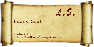 Ludik Saul névjegykártya